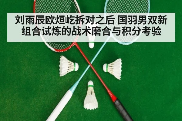 刘雨辰欧烜屹拆对之后 国羽男双新组合试炼的战术磨合与积分考验